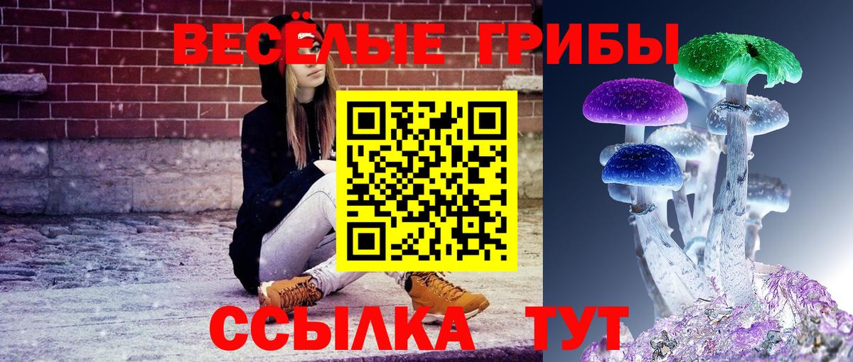 Людиново  Галлюциногенные грибы Magic Shrooms  Галлюциногенные грибы Cubensis  Вход с VPN 